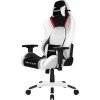 Кресло AKRacing Arctica (белый/черный)