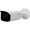 IP-камера Dahua DH-IPC-HFW4231TP-S-1200B-S4