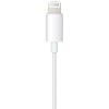 Адаптер Apple MXK22ZM/A