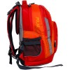 Школьный рюкзак Polar П221 (темно-розовый)