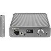 Настольный усилитель Burson Audio Soloist 3X Performance